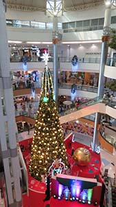 NbNĊg